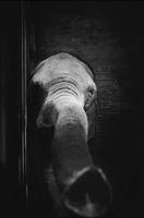  Michel vanden Eeckhoudt