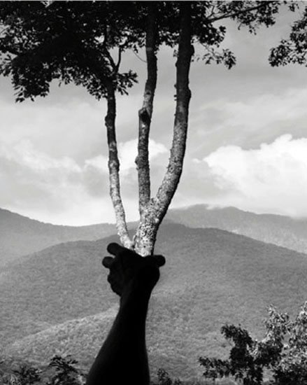 Arno Rafael Minkkinen