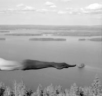 Arno Rafael MINKKINEN