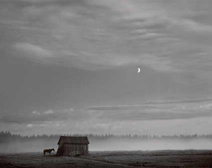 Pentti Sammallahti