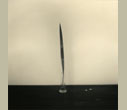 Masao Yamamoto